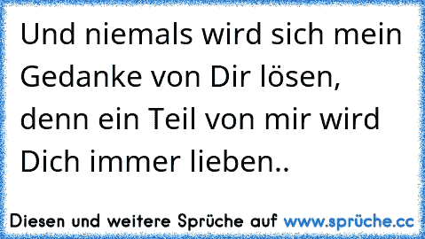 Und niemals wird sich mein Gedanke von Dir lösen, denn ein Teil von mir wird Dich immer lieben..