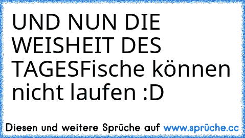 UND NUN DIE WEISHEIT DES TAGES
Fische können nicht laufen :D