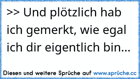 >> Und plötzlich hab ich gemerkt, wie egal ich dir eigentlich bin...