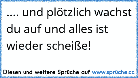 .... und plötzlich wachst du auf und alles ist wieder scheiße!