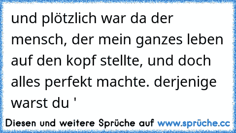 und plötzlich war da der mensch, der mein ganzes leben auf den kopf stellte, und doch alles perfekt machte. derjenige warst du ♥'