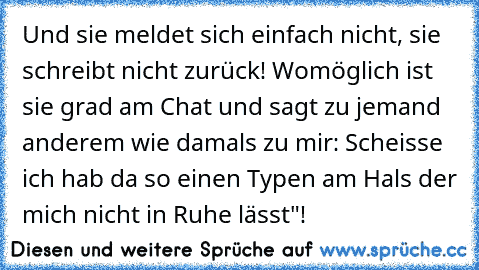 Und sie meldet sich einfach nicht, sie schreibt nicht zurück! Womöglich ist sie grad am Chat und sagt zu jemand anderem wie damals zu mir: Scheisse ich hab da so einen Typen am Hals der mich nicht in Ruhe lässt"!