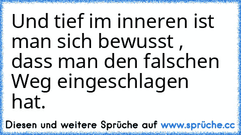 Und tief im inneren ist man sich bewusst , dass man den falschen Weg eingeschlagen hat.