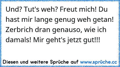 Und? Tut's weh? Freut mich! Du hast mir lange genug weh getan! Zerbrich dran genauso, wie ich damals! Mir geht's jetzt gut!!!