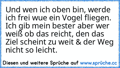 Und wen ich oben bin, werde ich frei wue ein Vogel fliegen. Ich gib mein bester aber wer weiß ob das reicht, den das Ziel scheint zu weit & der Weg nicht so leicht.