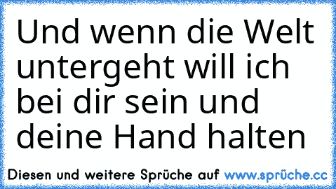 Und wenn die Welt untergeht will ich bei dir sein und deine Hand halten♥