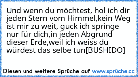 Und wenn du möchtest, hol ich dir jeden Stern vom Himmel,
kein Weg ist mir zu weit, guck ich springe nur für dich,
in jeden Abgrund dieser Erde,
weil ich weiss du würdest das selbe tun
[BUSHIDO]