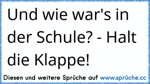 Und wie war's in der Schule? - Halt die Klappe!