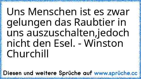 Uns Menschen ist es zwar gelungen das Raubtier in uns auszuschalten,jedoch nicht den Esel. - Winston Churchill