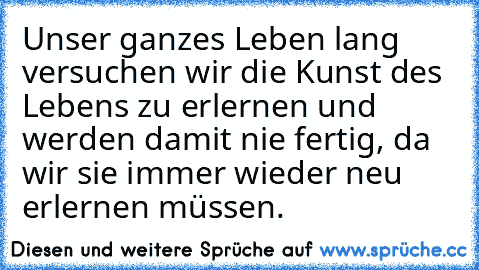 Unser ganzes Leben lang versuchen wir die Kunst des Lebens zu erlernen und werden damit nie fertig, da wir sie immer wieder neu erlernen müssen.