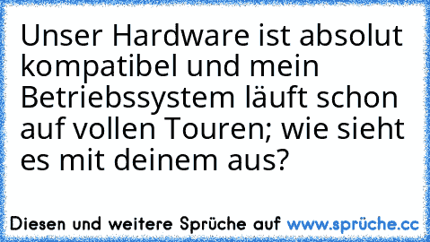 Unser Hardware ist absolut kompatibel und mein Betriebssystem läuft schon auf vollen Touren; wie sieht es mit deinem aus?