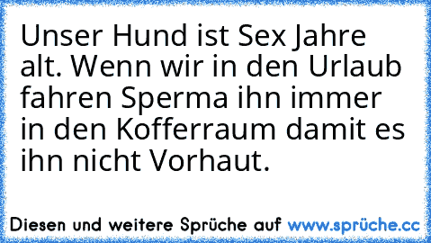 Unser Hund ist Sex Jahre alt. Wenn wir in den Urlaub fahren Sperma ihn immer in den Kofferraum damit es ihn nicht Vorhaut.