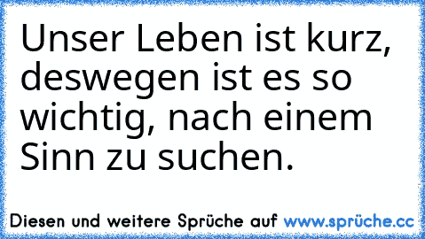 Unser Leben ist kurz, deswegen ist es so wichtig, nach einem Sinn zu suchen.