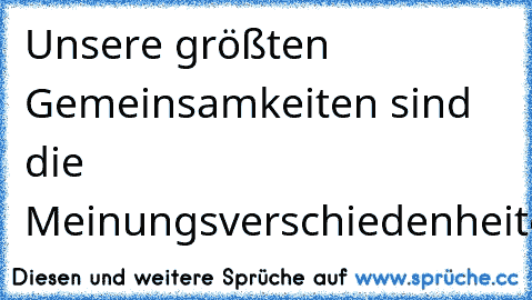 Unsere größten Gemeinsamkeiten sind die Meinungsverschiedenheiten.