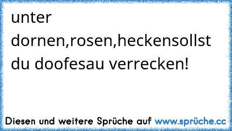 unter dornen,
rosen,hecken
sollst du doofe
sau verrecken!