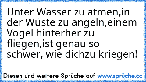 Unter Wasser zu atmen,
in der Wüste zu angeln,
einem Vogel hinterher zu fliegen,
ist genau so schwer, wie dich
zu kriegen!