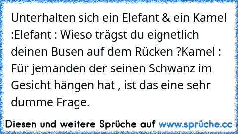 Unterhalten sich ein Elefant & ein Kamel :
Elefant : Wieso trägst du eignetlich deinen Busen auf dem Rücken ?
Kamel : Für jemanden der seinen Schwanz im Gesicht hängen hat , ist das eine sehr dumme Frage.