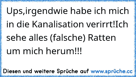 Ups,irgendwie habe ich mich in die Kanalisation verirrt!Ich sehe alles (falsche) Ratten um mich herum!!!