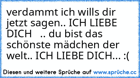 verdammt ich wills dir jetzt sagen.. ICH LIEBE DICH  ♥ .. du bist das schönste mädchen der welt.. ICH LIEBE DICH... :(