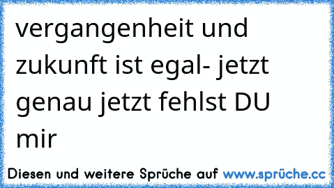 vergangenheit und zukunft ist egal- jetzt genau jetzt fehlst DU mir