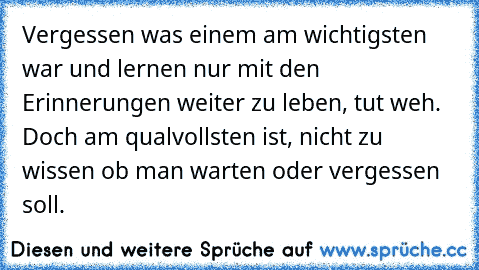 Vergessen was einem am wichtigsten war und lernen nur mit den Erinnerungen weiter zu leben, tut weh. Doch am qualvollsten ist, nicht zu wissen ob man warten oder vergessen soll.