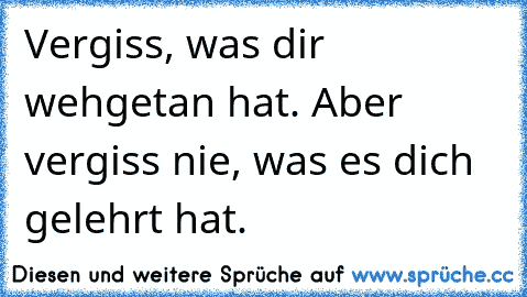 Vergiss, was dir wehgetan hat. Aber vergiss nie, was es dich gelehrt hat.