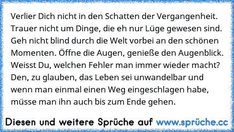 Verlier Dich nicht in den Schatten der Vergangenheit. Trauer nicht um Dinge, die eh nur Lüge gewesen sind. Geh nicht blind durch die Welt vorbei an den schönen Momenten. Öffne die Augen, genieße den Augenblick. Weisst Du, welchen Fehler man immer wieder macht? Den, zu glauben, das Leben sei unwandelbar und wenn man einmal einen Weg eingeschlagen habe, müsse man ihn auch bis zum Ende gehen.