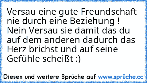 Versau eine gute Freundschaft nie durch eine Beziehung ! Nein Versau sie damit das du auf dem anderen dadurch das Herz brichst und auf seine Gefühle scheißt :)