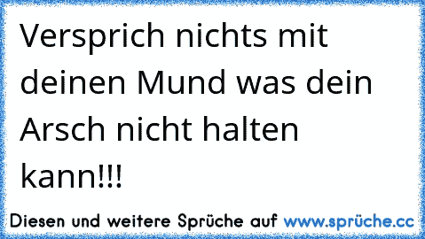 Versprich nichts mit deinen Mund was dein Arsch nicht halten kann!!!