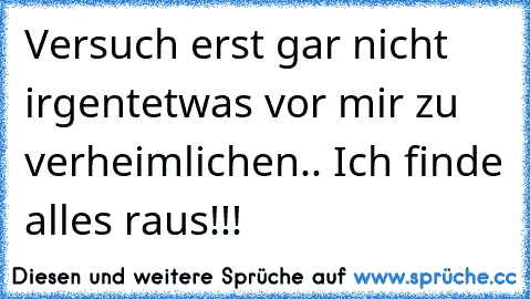 Versuch erst gar nicht irgentetwas vor mir zu verheimlichen.. Ich finde alles raus!!!