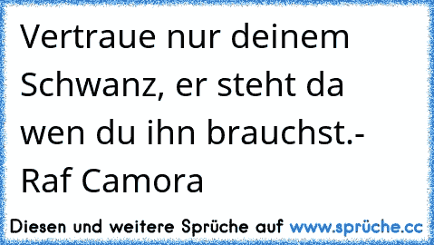 Vertraue nur deinem Schwanz, er steht da wen du ihn brauchst.
- Raf Camora