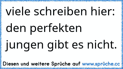 viele schreiben hier: den perfekten jungen gibt es nicht. 