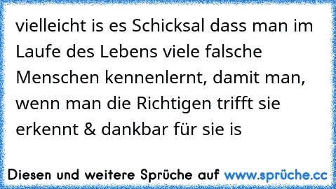 vielleicht is es Schicksal dass man im Laufe des Lebens viele falsche Menschen kennenlernt, damit man, wenn man die Richtigen trifft sie erkennt & dankbar für sie is