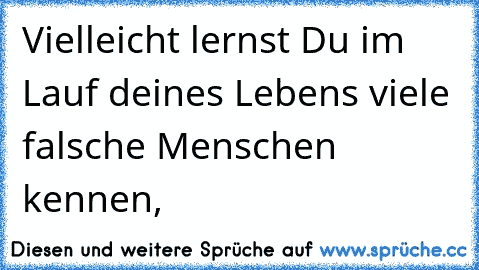 Vielleicht lernst Du im Lauf deines Lebens viele falsche Menschen kennen,