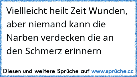 Viellleicht heilt Zeit Wunden, aber niemand kann die Narben verdecken die an den Schmerz erinnern ♥