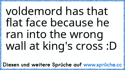 voldemord has that flat face because he ran into the wrong wall at king's cross :D