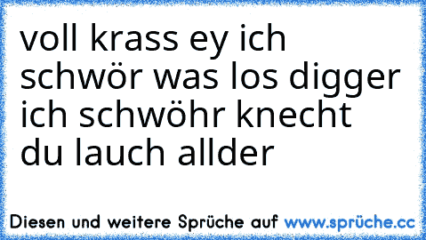 voll krass ey ich schwör was los digger ich schwöhr knecht du lauch allder