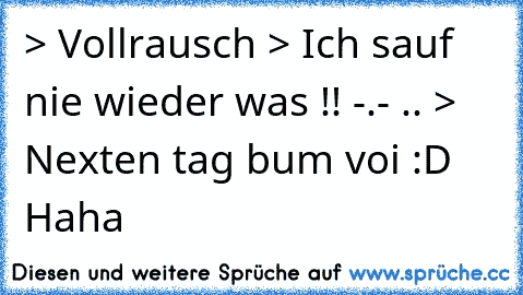 > Vollrausch > Ich sauf nie wieder was !! -.- .. > Nexten tag bum voi :D Haha