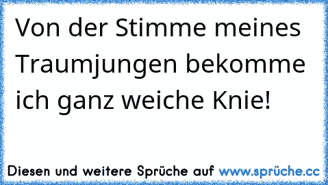 Von der Stimme meines Traumjungen bekomme ich ganz weiche Knie!