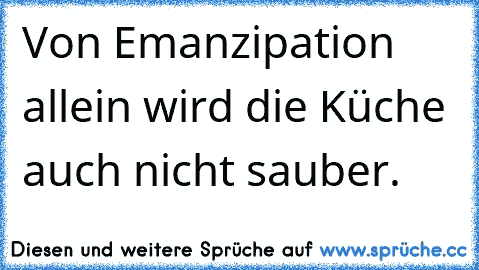 Von Emanzipation allein wird die Küche auch nicht sauber.