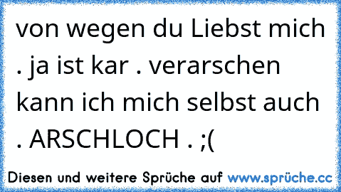 von wegen du Liebst mich . ja ist kar . verarschen kann ich mich selbst auch . ARSCHLOCH . ;(