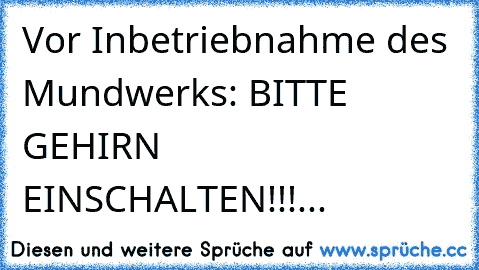 Vor Inbetriebnahme des Mundwerks: BITTE GEHIRN EINSCHALTEN!!!...