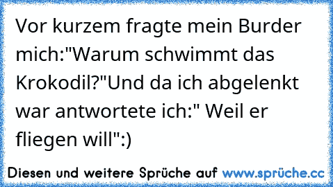 Vor kurzem fragte mein Burder mich:
"Warum schwimmt das Krokodil?"
Und da ich abgelenkt war antwortete ich:
" Weil er fliegen will"
:)