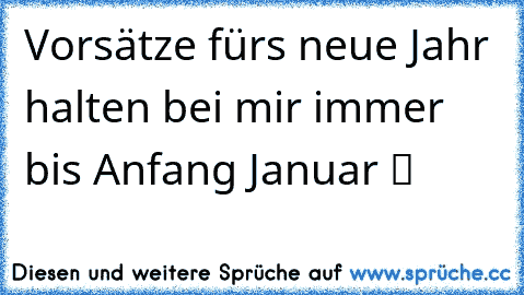 Vorsätze fürs neue Jahr halten bei mir immer bis Anfang Januar ツ