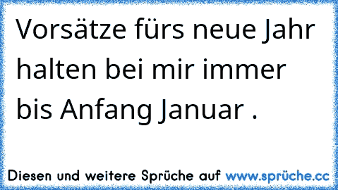 Vorsätze fürs neue Jahr halten bei mir immer bis Anfang Januar .