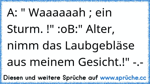 A: " Waaaaaah ; ein Sturm. !" :o
B:" Alter, nimm das Laubgebläse aus meinem Gesicht.!" -.-