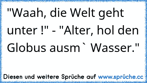 "Waah, die Welt geht unter !" - "Alter, hol den Globus ausm` Wasser."