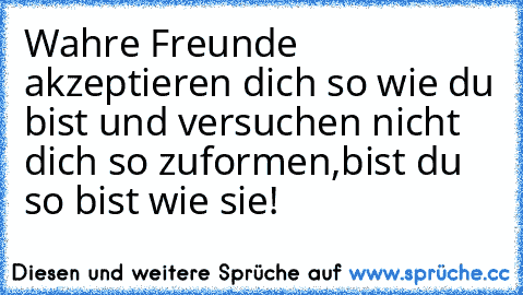 Wahre Freunde akzeptieren dich so wie du bist und versuchen nicht dich so zuformen,bist du so bist wie sie!