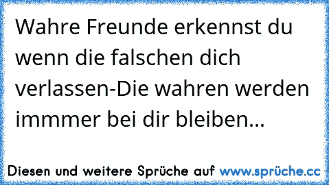 Wahre Freunde erkennst du wenn die falschen dich verlassen-Die wahren werden immmer bei dir bleiben...♥♥♥