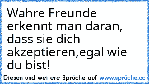 Wahre Freunde erkennt man daran, dass sie dich akzeptieren,egal wie du bist! 